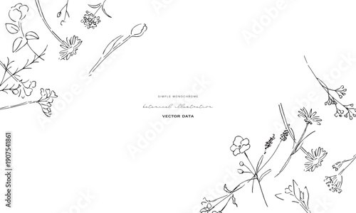 植物の線画イラスト。植物のベクターイラスト背景。葉っぱと花の背景フレーム。
Botanical line art illustration. Botanical vector illustration background. Leaves and flowers background frame.