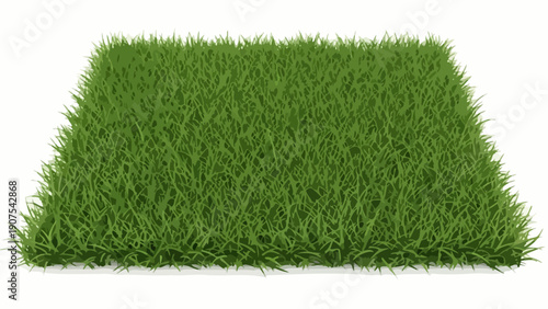 Green Artificial Grass Mat.