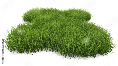 Green Grass Tuft Patch.