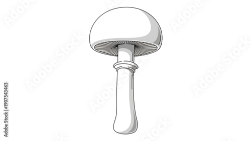 Mushroom Shaped Door Handle.