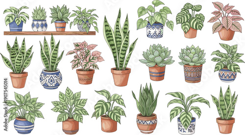 Hand-Drawn Vector Illustration Collection of Various Potted Indoor Houseplants and Tropical Greenery in Decorative Ceramic Pots Isolated on a Clean White Background for Design