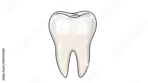 Tooth Dental Health Structure.