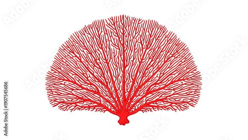 Vibrant red intricate fanshaped branching structure on a stark white background