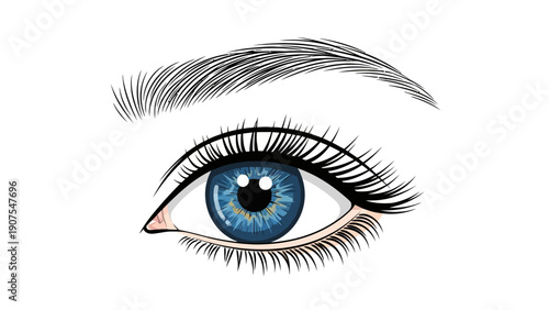 Closeup illustration of a blue eye with thick lashes and a defined eyebrow