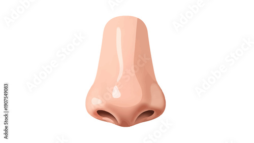 Front view illustration of a lightskinned human nose on a white background