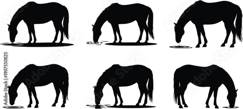 Set of Minimalist black horse drinking water natural behavior silhouette vector icon