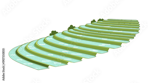 Illustration of curved stepped green rice terraces with small trees
