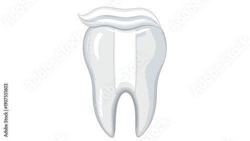 White Healthy Tooth Structure.
