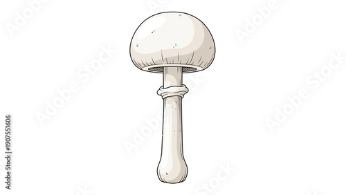 White Mushroom Single Stem.
