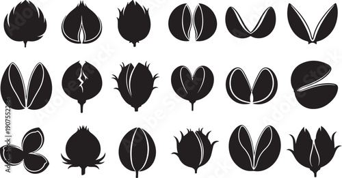 Collection of various flower and leaf silhouettes on white