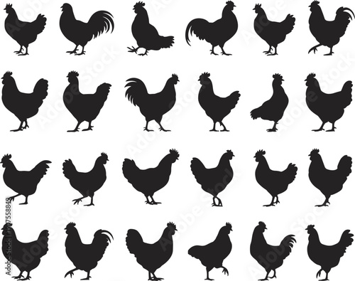 Chicken and rooster silhouettes collection isolated on white background, farm poultry birds set with hen and cock profiles