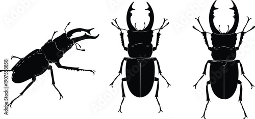 Stag Beetle Silhouette Vector Set - Detailed Lucanidae Insect Graphics