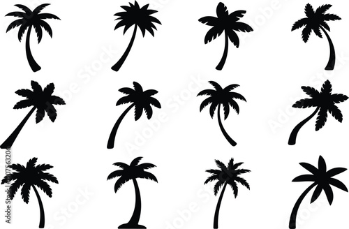 Tropical Palm Tree Silhouette Vector Set – Exotic Beach Plant Icons