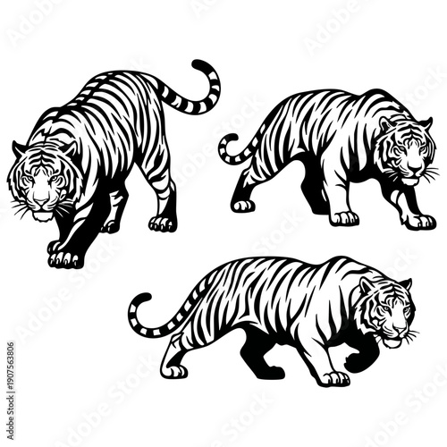 Tiger Silhouette Vector Set - Prowling Wild Cat Predator Graphics