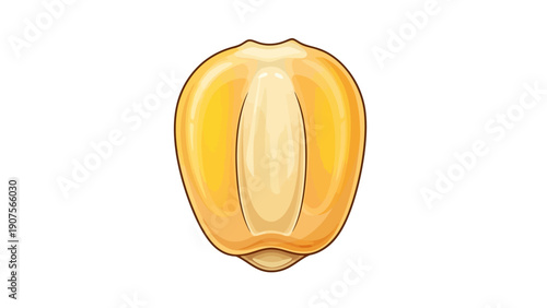 Cocoa Pod Illustration.
