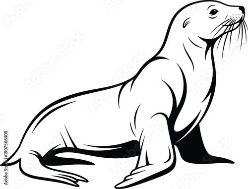 Sea lion vector illustration, black and white line art of a marine mammal, isolated pinniped seal graphic for coastal design.