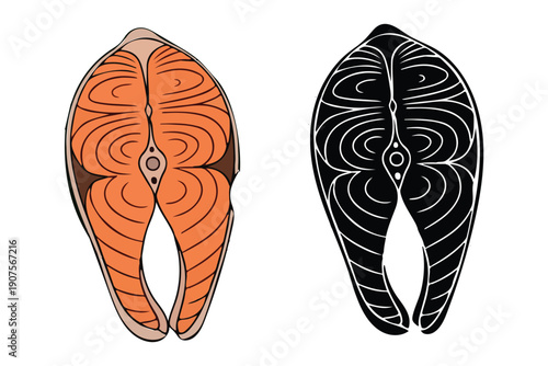 Fish steaks with muscle structure illustration  raw and cooked