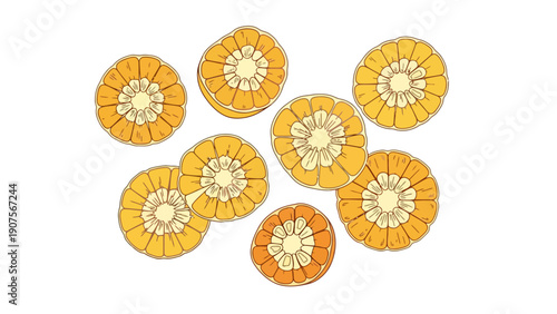 Sliced Dried Orange Fruits.