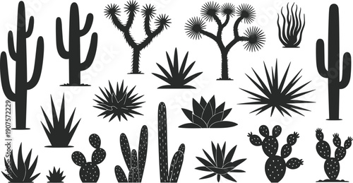 Desert cactus and succulent silhouettes collection, prickly pear, agave and yucca plants isolated on white, botanical vector illustration set