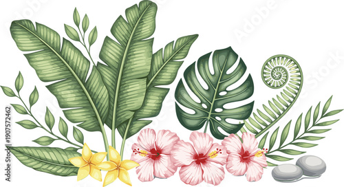 Tropical leaves and flowers vector set with monstera banana foliage hibiscus plumeria and spa stones isolated on white background