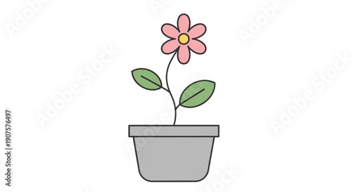 Pink flower in a gray pot with green leaves on white background