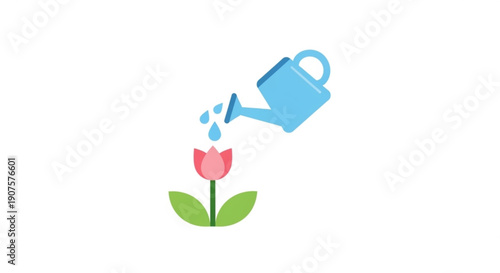 Pink tulip flower being watered by blue watering can on white background