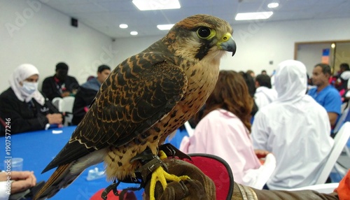 Close-up of a falcon perched on a gloved hand in a crowded room.