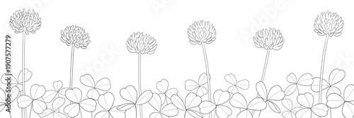 並んだシロツメクサの線画