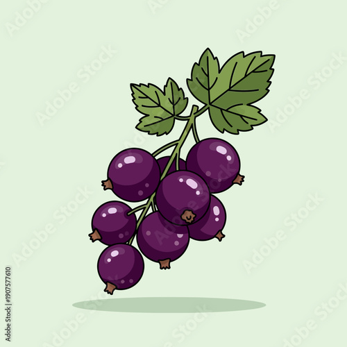 Bunch of Purple Grapes with Leaves.