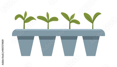 Seedlings in a Planter Tray. Home Gardening Seed Tray. Early Growth Plant Seedlings. Sprouting Plants. Garden Seedling Tray