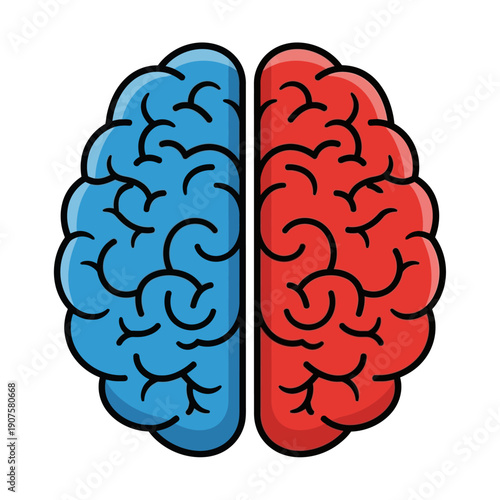 Brain Hemispheres Illustration Blue Red.
