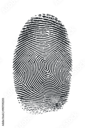 A detailed black and white image of a single human fingerprint
