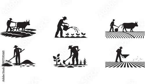 Farmer working with ox and cultivating field with simple agricultural tools