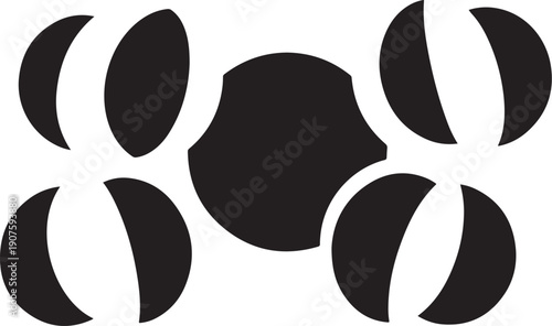Phases of the Moon Lunar Cycle Illustration in Black