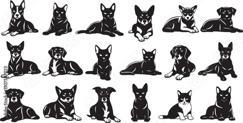 Black and white dog illustrations in various poses collection