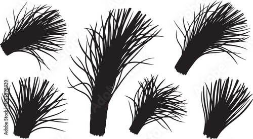Black Silhouettes of Various Bushes and Shrubs on White