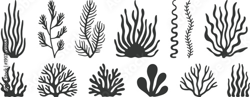 Collection of twelve black silhouette illustrations of various seaweed and coral forms marine plant
