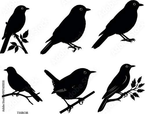 Six black silhouette birds perched on branches with leaves