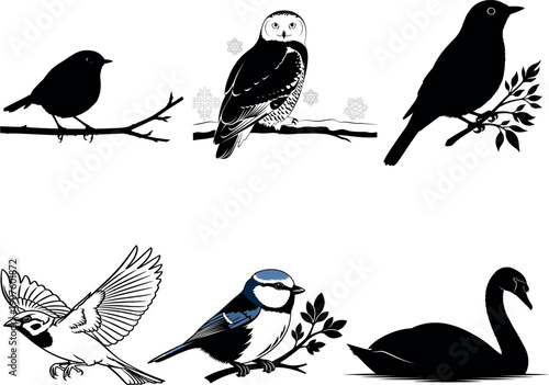Collection of various bird species in black and white illustrations