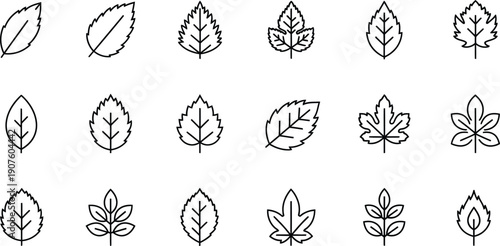 Collection of various leaf shapes and designs