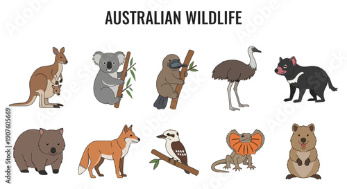 Illustration of ten distinct animals native to Australia displayed in two rows
