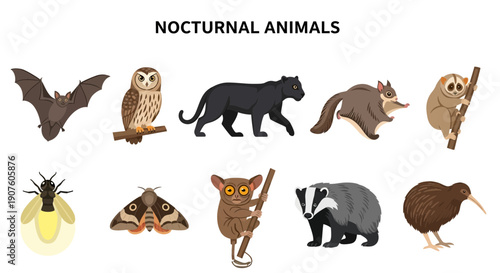 Illustration of ten nocturnal animals arranged in two rows under a centered title