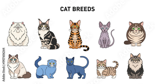 Ten cartoon illustrations of diverse cat breeds arranged in two rows