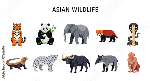 Ten distinct vector illustrations of Asian wildlife animals arranged in two rows