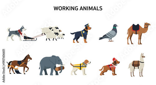 Ten illustrations of working animals across two rows against a white background