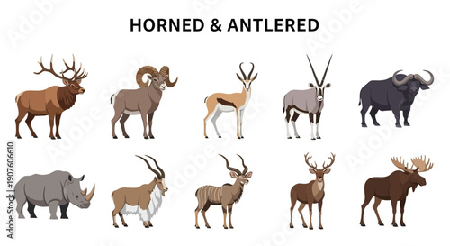 Vector illustration displaying various horned and antlered mammals against a white background