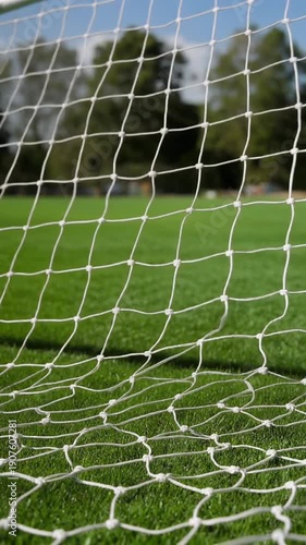 A soccer goal net on a green grassy field with trees in the background under a clear blue sky