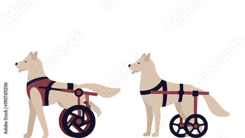 Dogs in wheelchairs, vector illustration of disabled pets with red and black harnesses