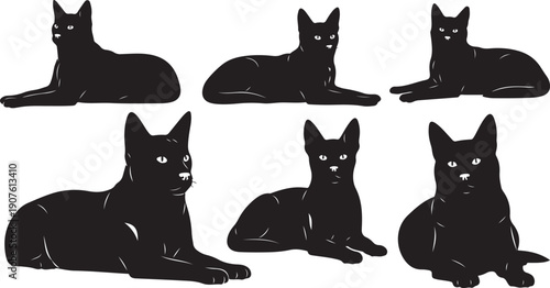 Black Cats in Various Relaxed Lying Down Positions Silhouette