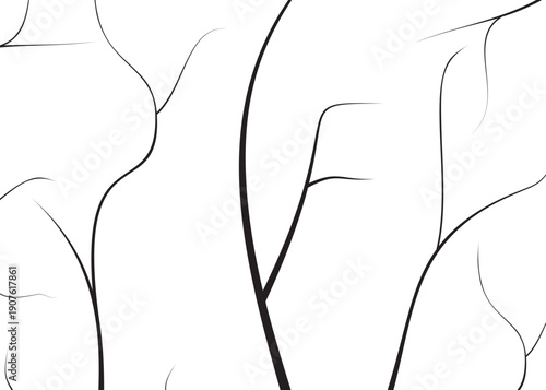 Abstract Organic Branching Lines